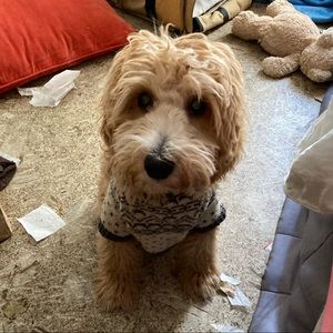 Meet your Posher, Joan